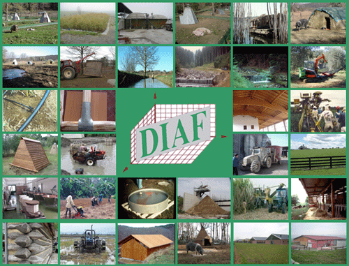 Universit� di Firenze